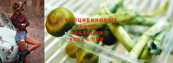 ПСИЛОЦИБИНОВЫЕ ГРИБЫ Елизово