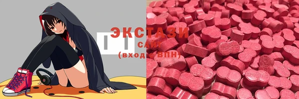 индика Ростов