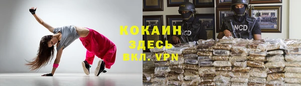 сатива Рославль