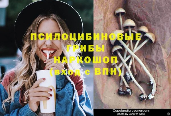спиды Балахна